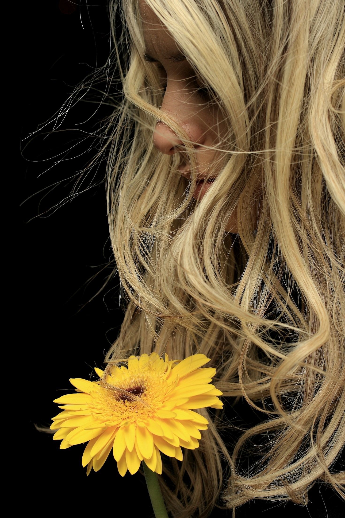 Capturing Elegance Through A Minimalist Lens